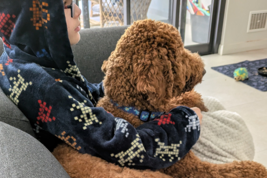How Animal Assisted Therapy Supports Your Child